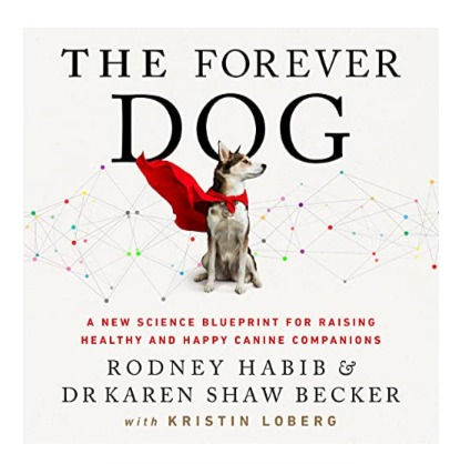 the forever dog book cover