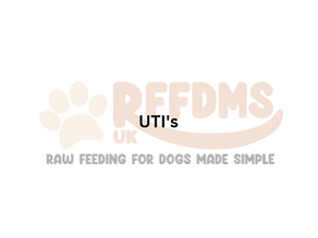UTI's 