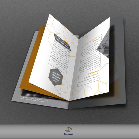SMS bulk company brushour design - 2018