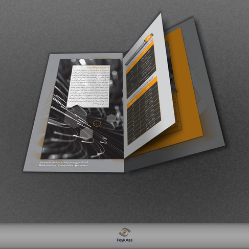 SMS bulk company brushour design - 2018