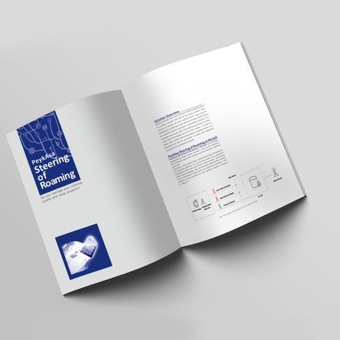 Product catalogue design - 2015
