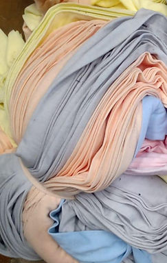 trapo color_edited.jpg