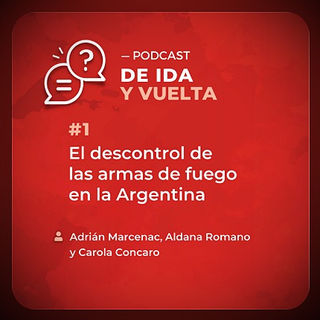 PÓDCAST INECIP. De Ida y Vuelta #1: El descontrol de las armas de fuego en la Argentina.