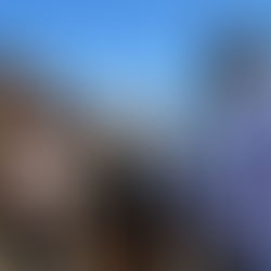 La destrucción más grande de los últimos 4 años.