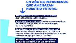 ❗ LA CÁMARA DE DIPUTADOS DECIDE SOBRE LA POLÍTICA DE CONTROL DE ARMAS