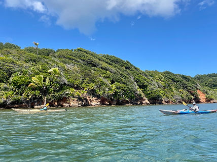 Roatan Kayak Adventure