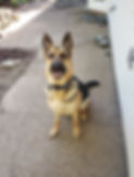 20190421_164851.jpg