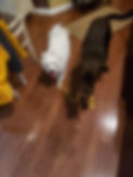 20190102_130119.jpg