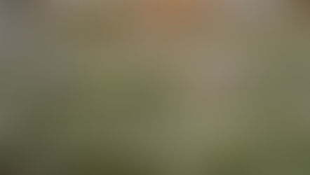 A Season of Wilderness