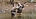 128D9730-3EDA-47C8-8540-B765E0F1FCAB.jpeg