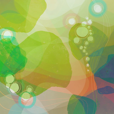 CONNECTIONS