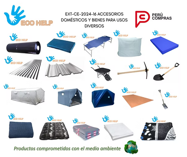 EXT-CE-2024-16 ACCESORIOS DOMÉSTICOS Y BIENES PARA USOS DIVERSOS.png