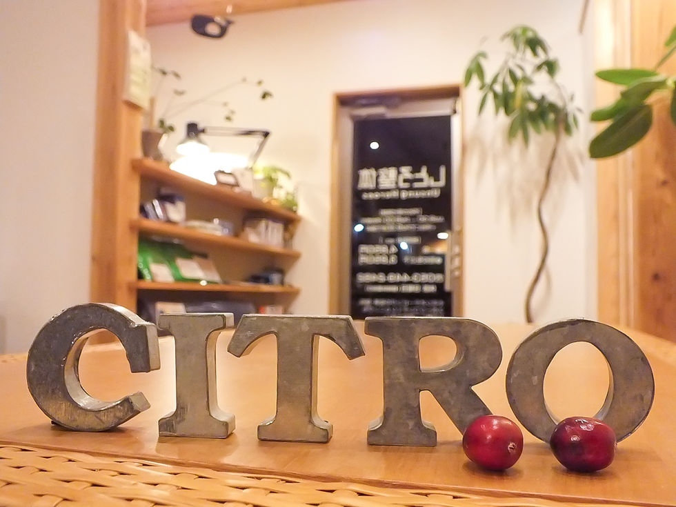 お店の内観