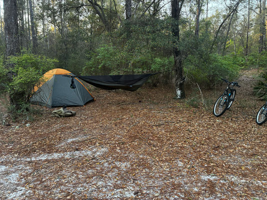 Forest campsite with an orange-gray tent, black hammock, and two bikes on a leaf-covered trail.