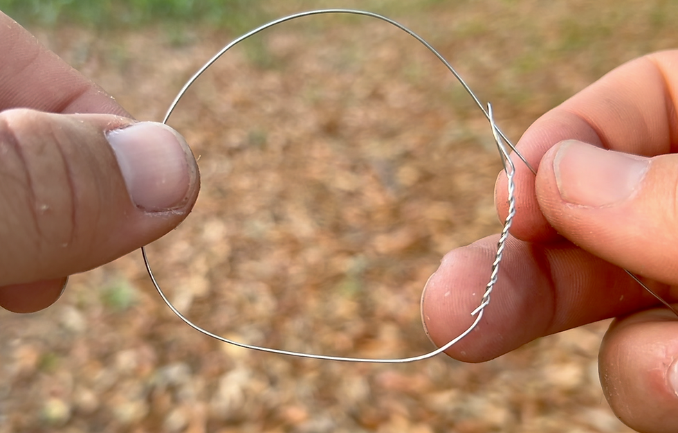 A simple loops snare - sized for a squirrel