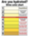 Urine color chart poster with 1-8 color bands, warning red line, and hydration/dehydration messages on a white background.
