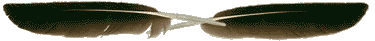 37.gif