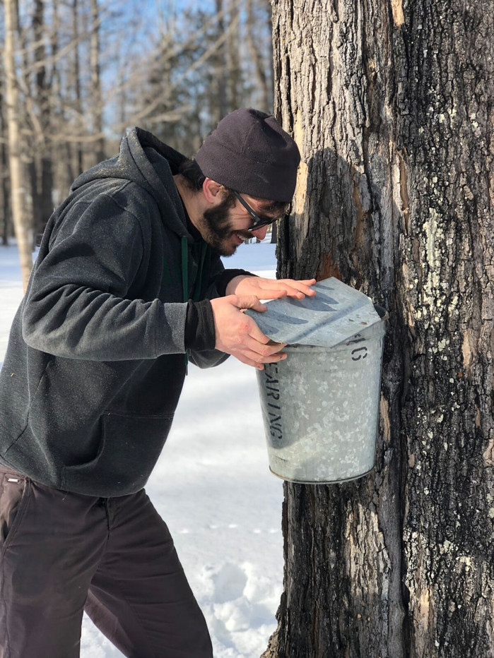 Sugaring
