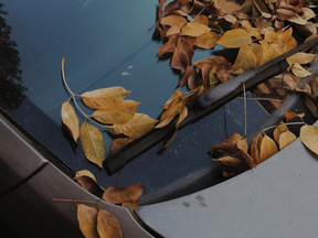 5 Indicators That It's Time To Replace Your Wiper Blades