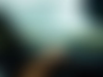 AGS Reverse Car Camera: A Comprehensive Guide for Car Owners