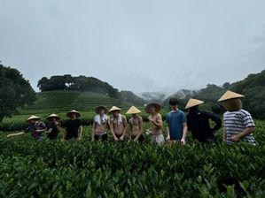 student china trip hangzhou