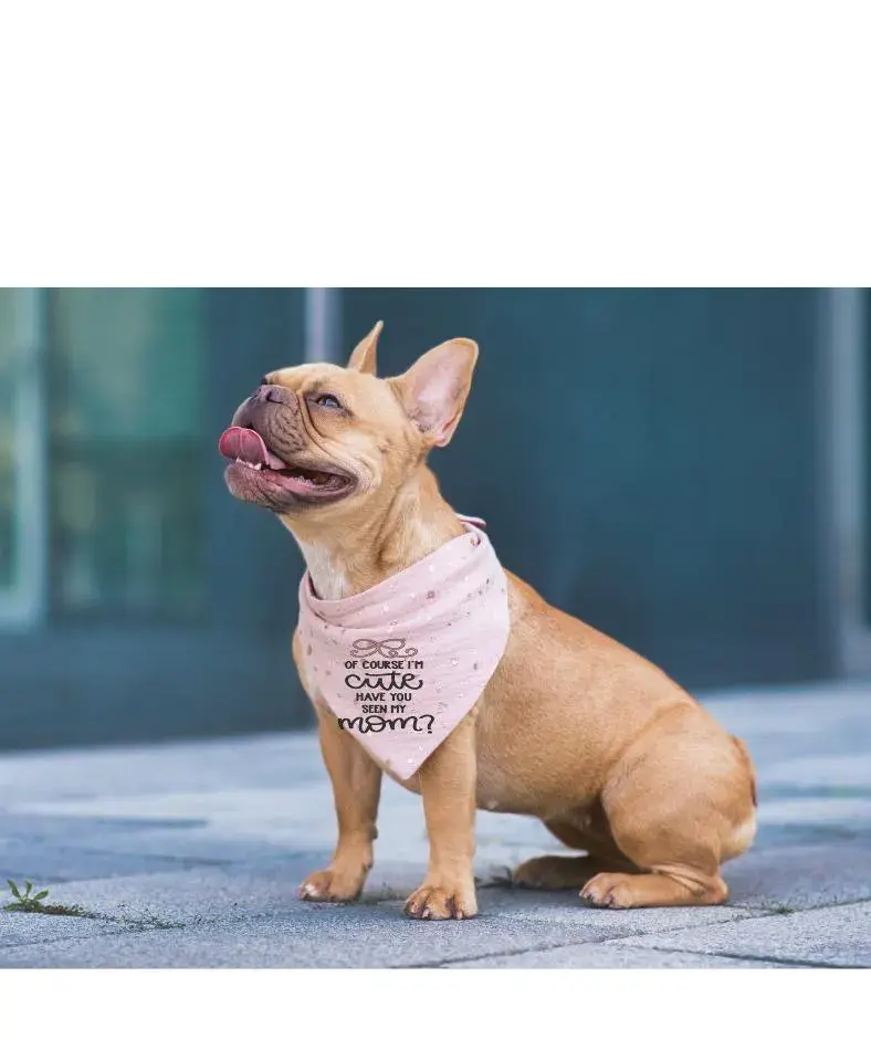 Thumbnail: "Of Course I'm Cute" Dog Mom Gift
