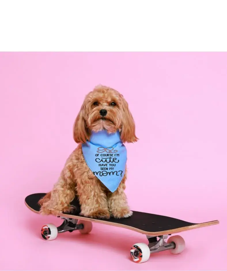 Thumbnail: "Of Course I'm Cute" Dog Mom Gift
