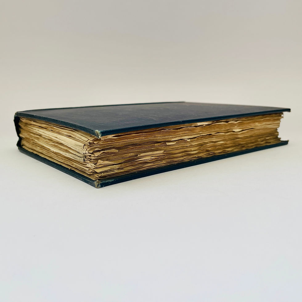 Miniature : Roughly cut page edges in 1895 Modern Egyptians by Edward William Lane