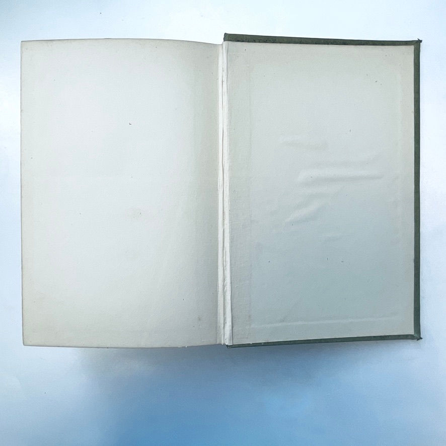 縮圖：Back pastedown and endpaper of Cynthia’s Brother 1901 RTS edition, clean with minimal ageing.