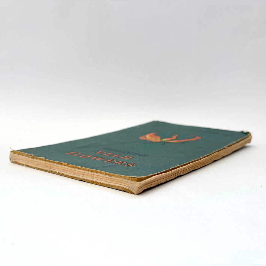 Bottom and fore edge pages of Common Veld Flowers Rhodesia First Edition