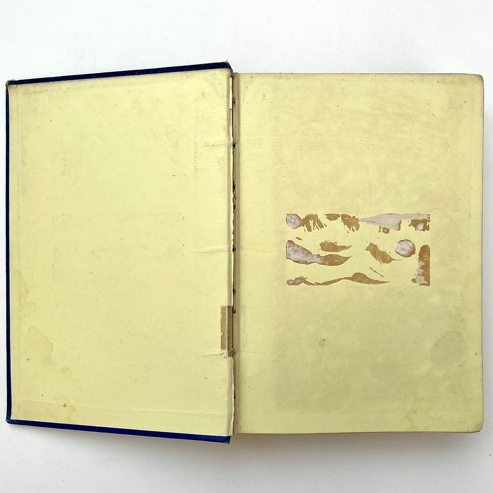 Pikkukuva: Yellow endpapers of Border Lances first edition with bookplate remnant and light age marks