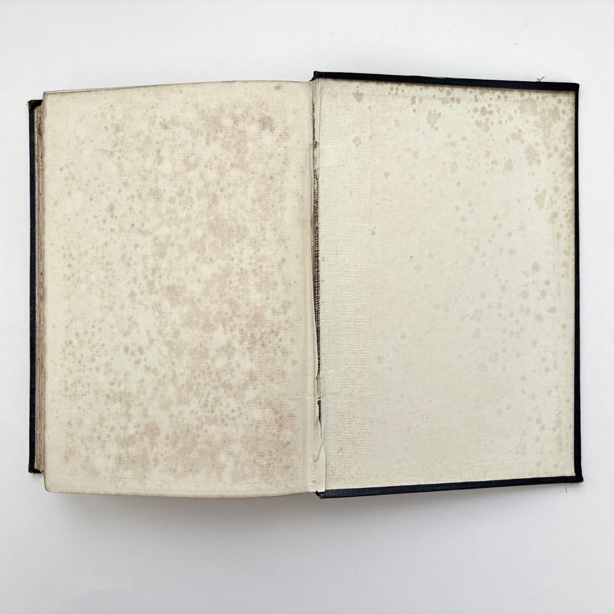 Thumbnail: Rear endpapers Joy of Tyrol early 20th century travel book