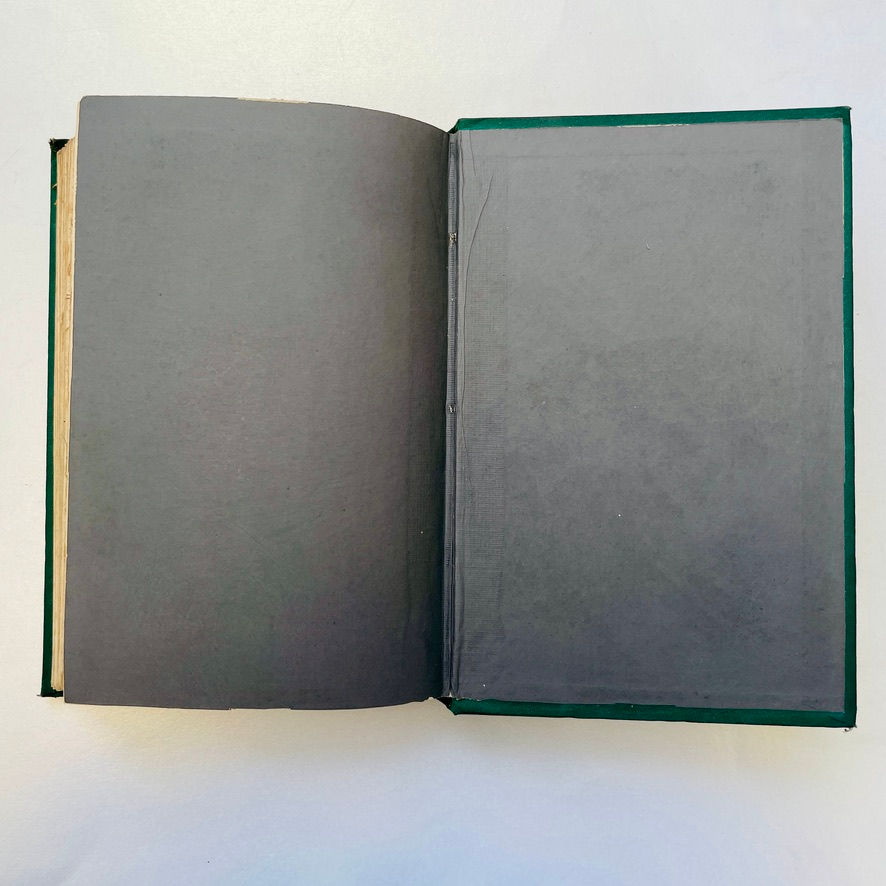 Pikkukuva: Coloured back pastedown of Nature and Human Nature.