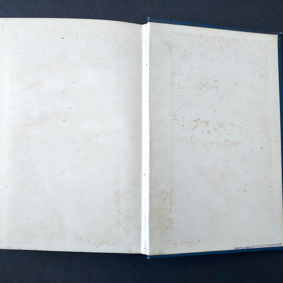 縮圖：Rear pastedown and endpaper Women of History 1896 Victorian biography book