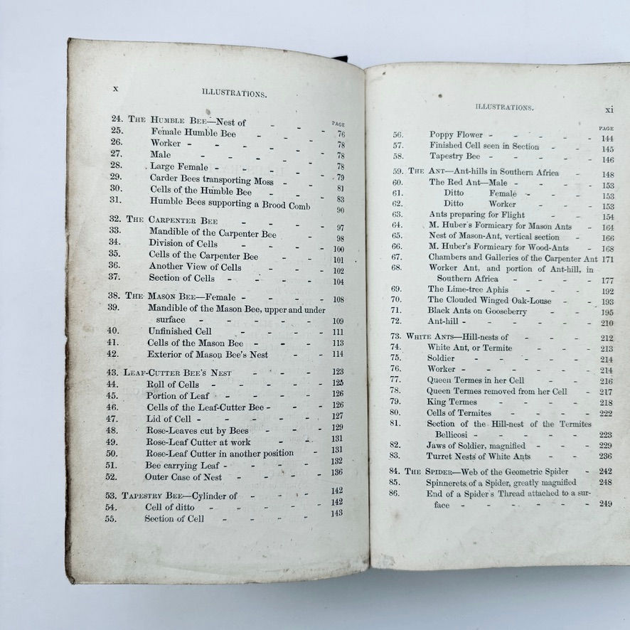 Pikkukuva: Pages x and xi showing that there are numerous illustrations inside Lessons From the Animal World - Natural History book.