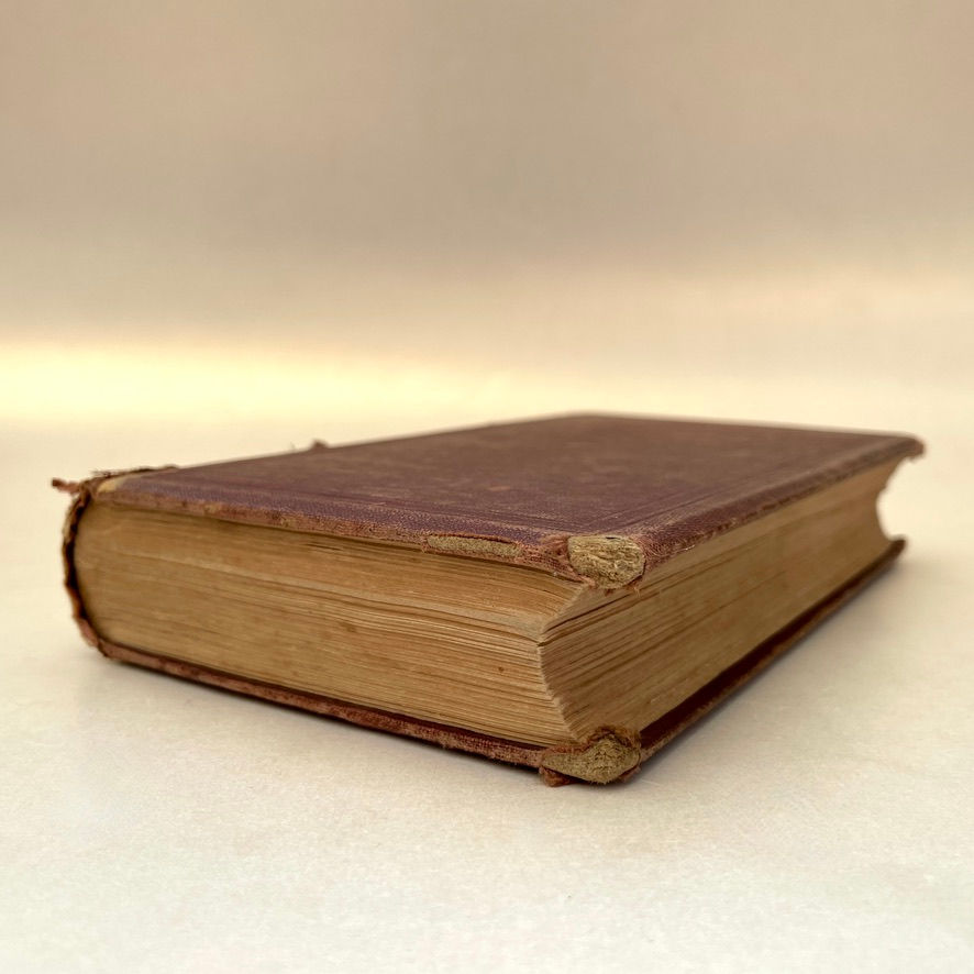 Bottom edge view of aged but clean page edges of The Natural History of Birds 1867.