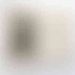 itle page with portrait engraving, 1842 El Periquillo Sarniento Fernandez de Lizardi