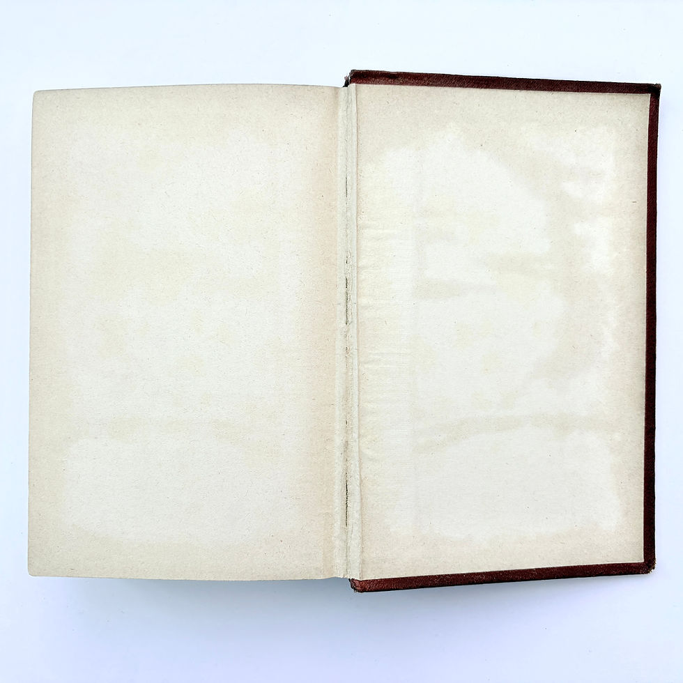 縮圖：The Bride’s Fate rear pastedown endpaper condition