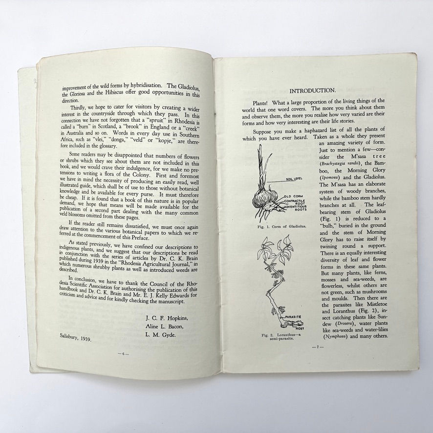 Thumbnail: End of Preface facing illustrated Introduction with botanical line drawings