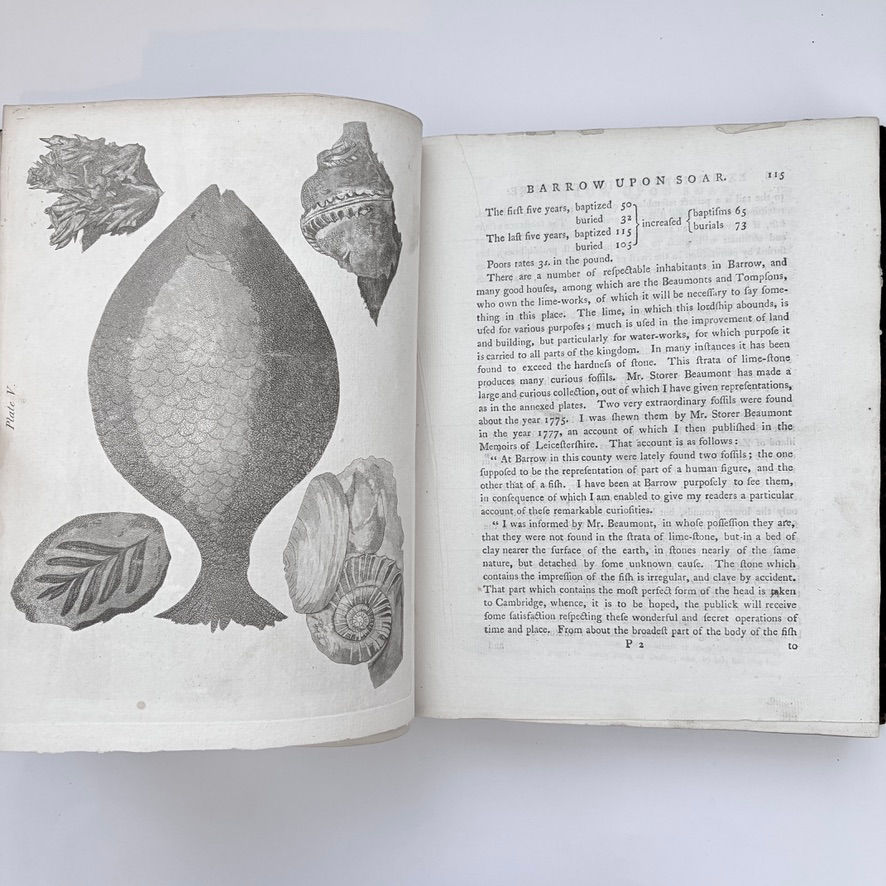 Thumbnail: Plate depicting fish and shells and fossilised plant specimens in Leicestershire history