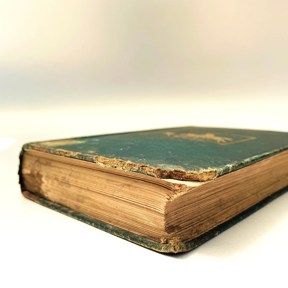 Miniaturbild: 1889 – A NATURALIST’S VOYAGE by Charles DARWIN – Antiquarian Illustrated HB Book