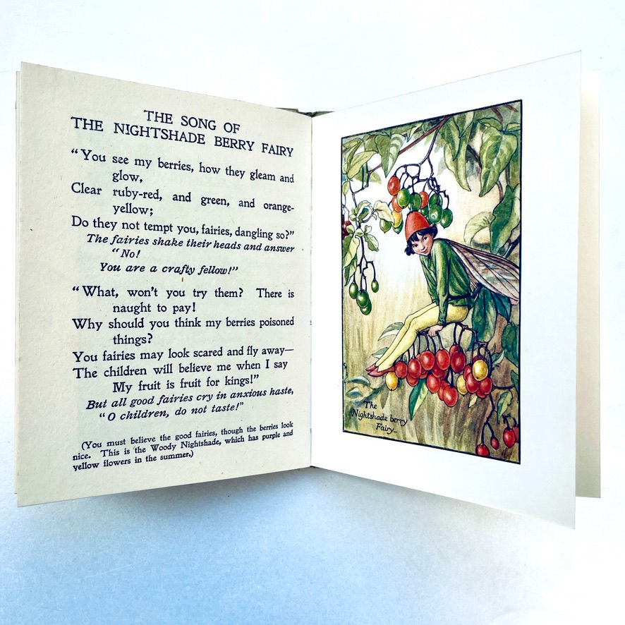 Miniatura: Full-page colour plate – The Nightshade Berry Fairy in detailed colour