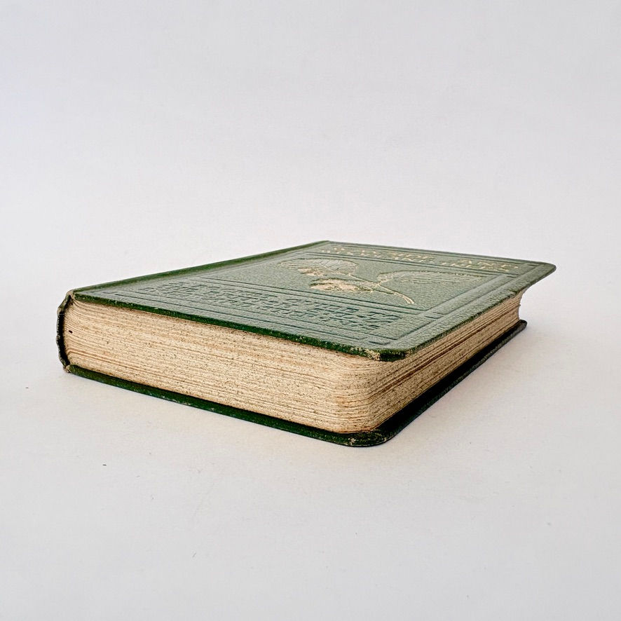 Thumbnail: Bottom page edges of Wayside and Woodland Trees showing sprinkled edges and light foxing