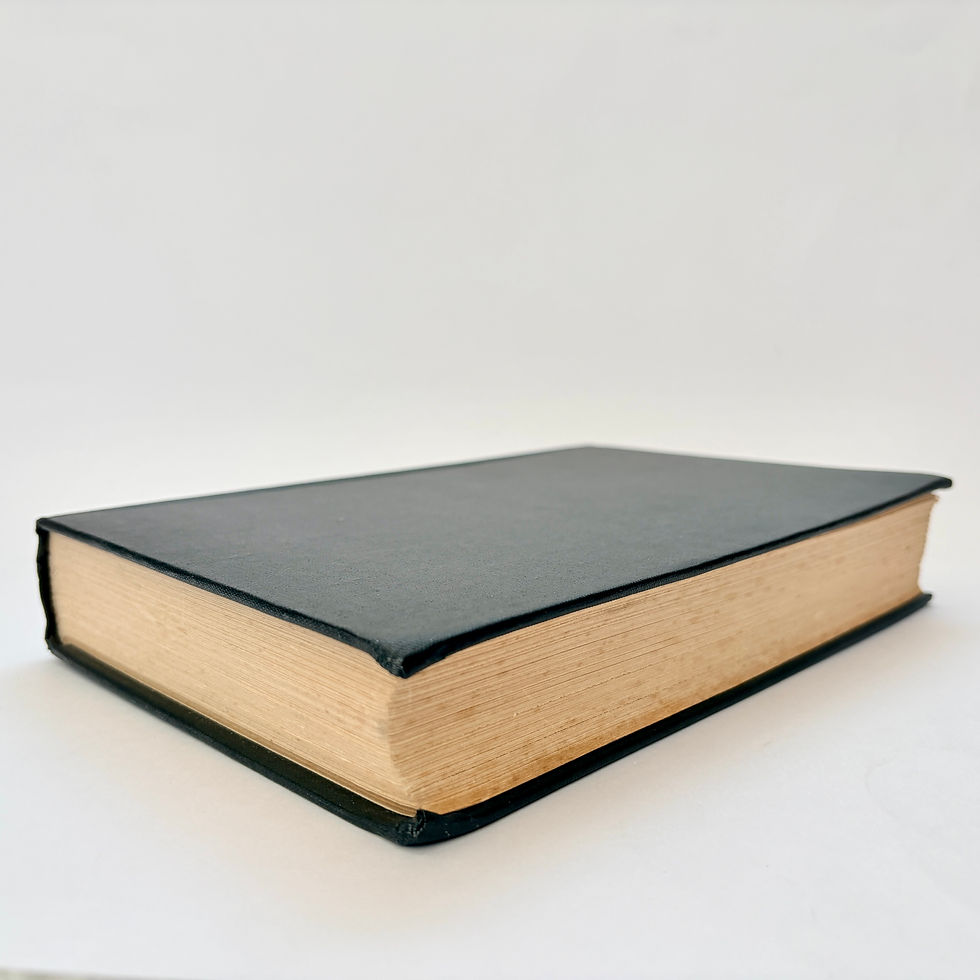 Miniatura: Bottom edges of Drinkers of the Wind Arabian horse literature