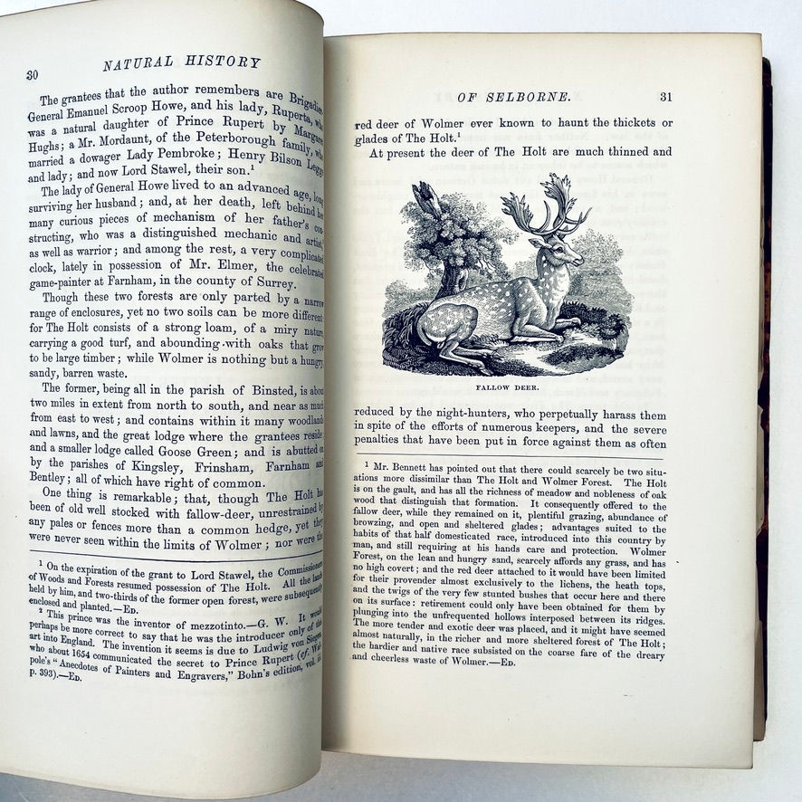 Miniature : 1880 Natural History of Selborne: G. White Leather Ed, Inscribed to Gen. Swinton