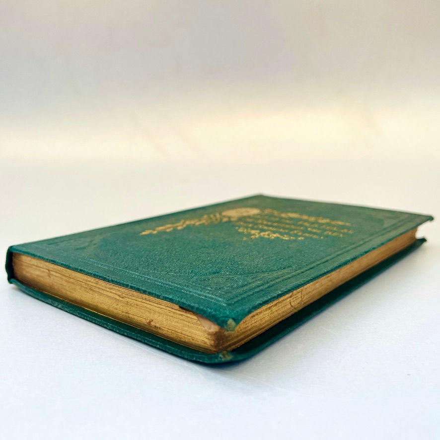 Miniaturbild: Bottom gilt edge of A Visit to the Old House in the Country, 1871 Eliza Thorp Victorian book.