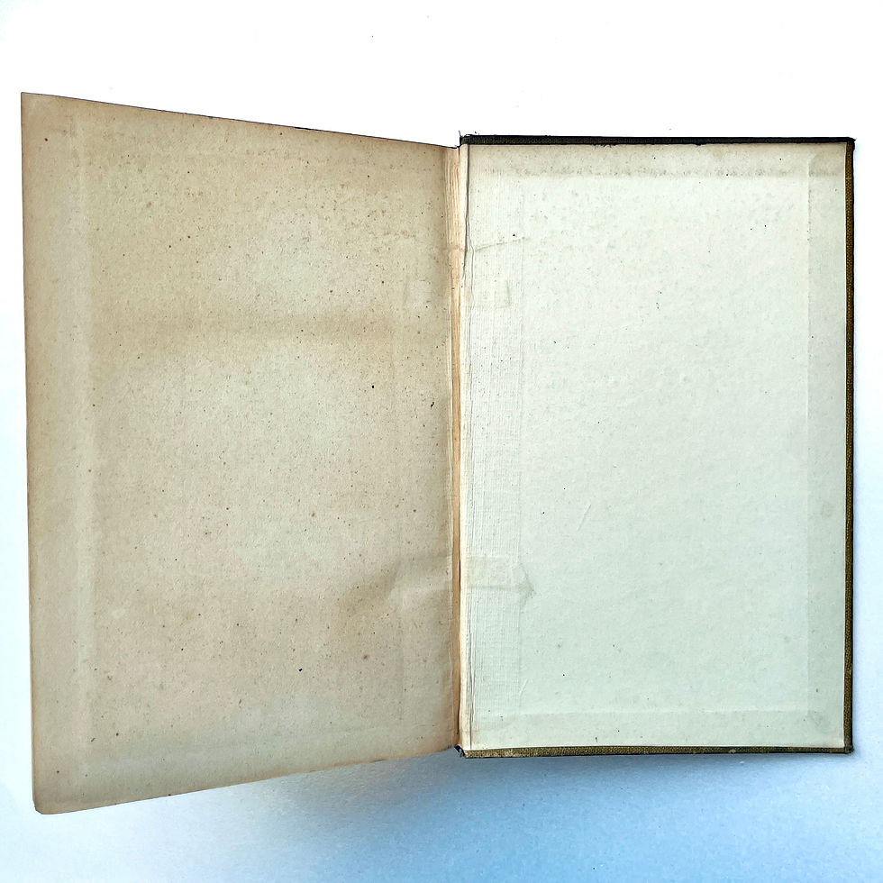 サムネイル： Back pastedown and endpaper The Boy In The Bush First Edition