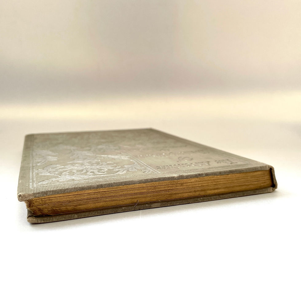 Miniature : Page edge for first edition of The Adventure of the Lady Ursula 1898