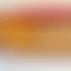 Gauffering on gilt page edges decorative antique book