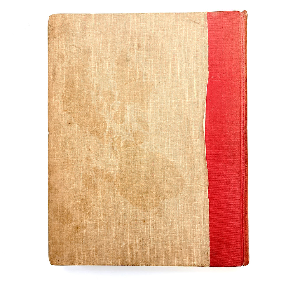 Miniaturbild: Rear board of The Sedgefield Country fox hunting book